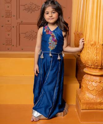Blue embroidered chanderi silk co ord set 4