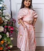 Pink embroidered chanderi silk lehenga set