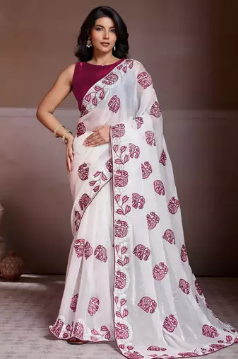 Graceful off-white fendy chiffon c-pallu embroidery work border saree with mono banglory silk blouse