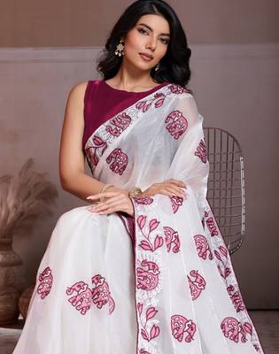 Graceful off-white fendy chiffon c-pallu embroidery work border saree with mono banglory silk blouse 2