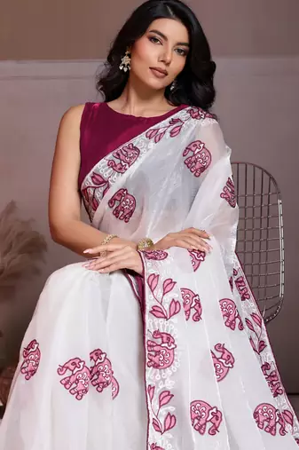 Graceful off-white fendy chiffon c-pallu embroidery work border saree with mono banglory silk blouse
