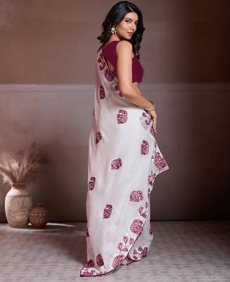 Graceful off-white fendy chiffon c-pallu embroidery work border saree with mono banglory silk blouse 4