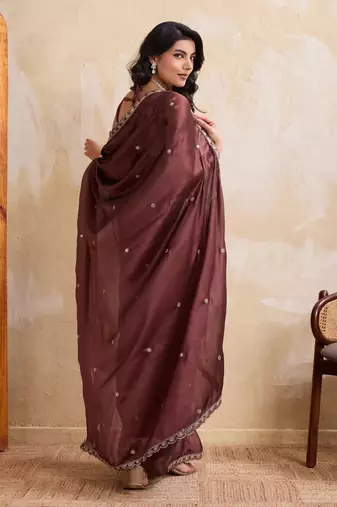 Alluring brown rangoli silk embroidery cutwork work lace border saree with rangoli silk blouse