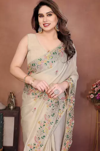 Striking cream frendy chiffon embroidery multi sequence work. saree with mono banglory silk blouse