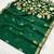 green pure munga art silk handloom weaving saree with organza weaving pallu