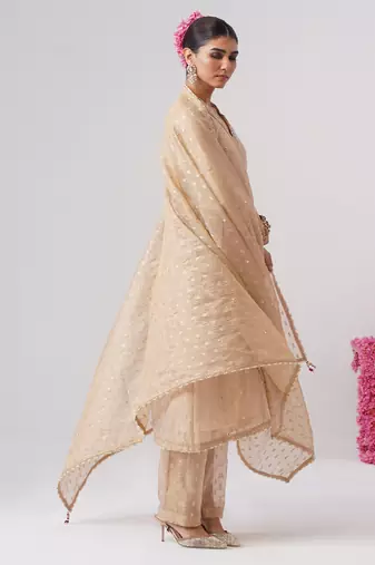 Gold embroidered silk kurta set