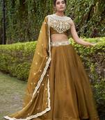 Mesmerizing Bronze Chanda Silk Plain With Sequins and Thread Embroidered Belt Indian wedding lehenga Choli dress