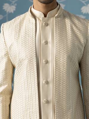 Beige embellished polycotton indo western 2