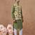 Sage green floral print bundi with kurta set