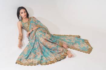 Sky blue organza saree with sequins embroidery & floral digital print 5