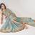 Sky blue organza saree with sequins embroidery & floral digital print