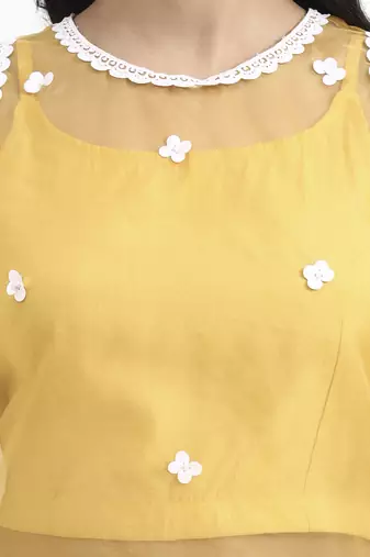  yellow organza co-ord set