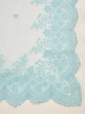 Women's blue organza embroidered saree with unstitched blouse piece 5