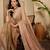 women's beige silk blend chiffon embellished saree with unstitched blouse piece