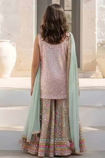 Pink embroidered georgette sharara set