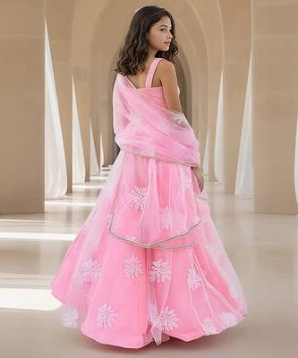 Pink embroidered net lehenga set 2