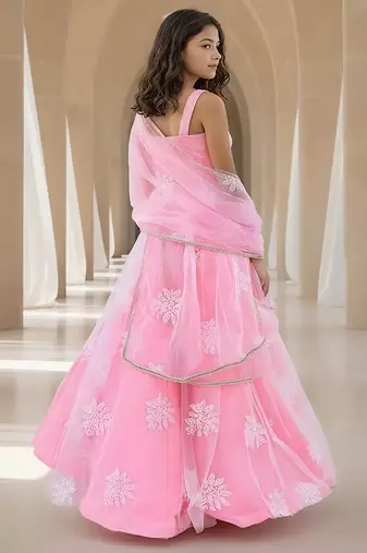 Pink embroidered net lehenga set