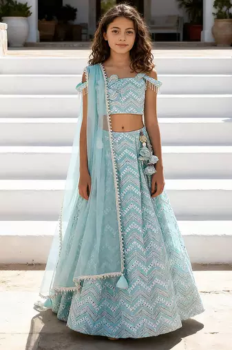 Blue embroidered georgette lehenga set