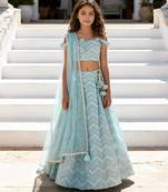Blue embroidered georgette lehenga set