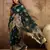 Teal organza zari woven saree with unstitched blouse piece