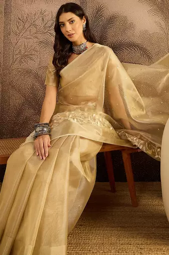 Beige super net embroidered saree with unstitched blouse piece