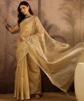 Beige super net embroidered saree with unstitched blouse piece 3