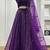 wine net sequins work lehenga set choli with dupatta with dupatta