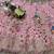 Pink Color Embroidery Sequins Work Faux Georgette Lehnega Choli Dupatta Set