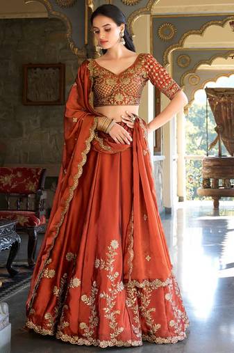 Brown Embroidered Treditional Lahenga Choli With Blouse