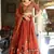 Brown Embroidered Treditional Lahenga Choli With Blouse