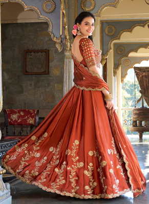 Brown Embroidered Treditional Lahenga Choli With Blouse 2