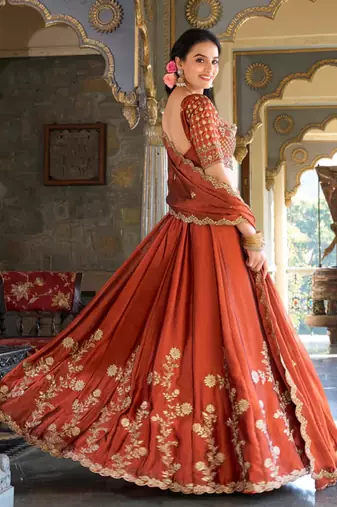 Brown Embroidered Treditional Lahenga Choli With Blouse