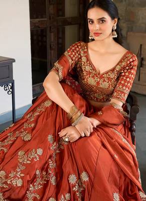 Brown Embroidered Treditional Lahenga Choli With Blouse 4