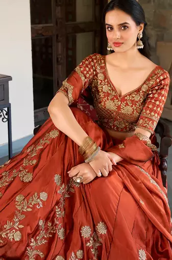 Brown Embroidered Treditional Lahenga Choli With Blouse