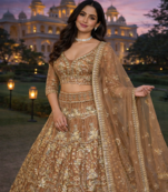 Beige Color Sequins Coding Work Net Lehenga 