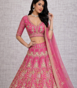 Rani PInk Color Sequins Coding Work Net Lehenga 