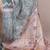 Premium tassar silk printed saree with glossy viscose border