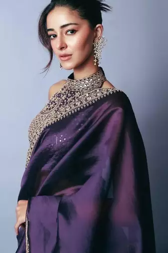 Purple sequins and dori embroidered saree