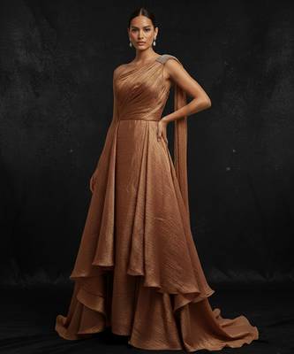 Brown silk gown 1