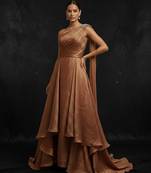 Brown silk gown