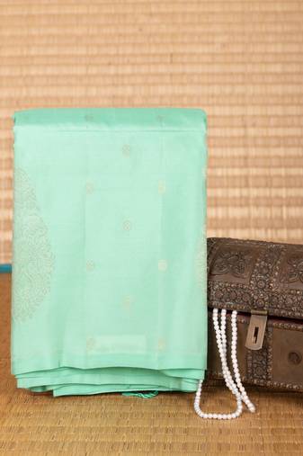 Mint green borderless pure touch silk saree
