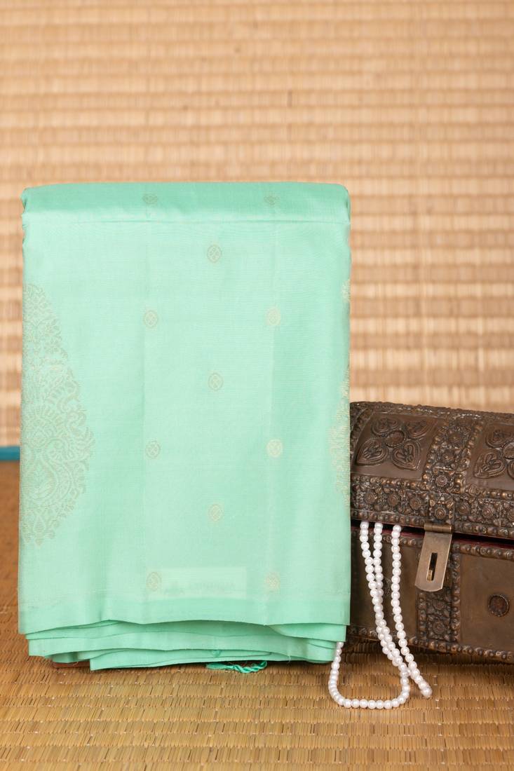 Mint green borderless pure touch silk saree