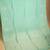Mint green borderless pure touch silk saree
