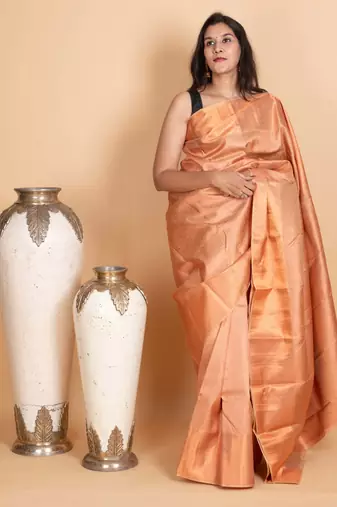 Champagne pure silk saree