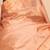 Champagne pure silk saree