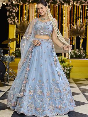 Sky Blue Net embroidered Lehenga Choli with dupatta 1