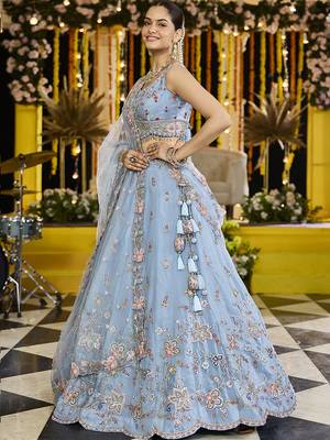 Sky Blue Net embroidered Lehenga Choli with dupatta 2