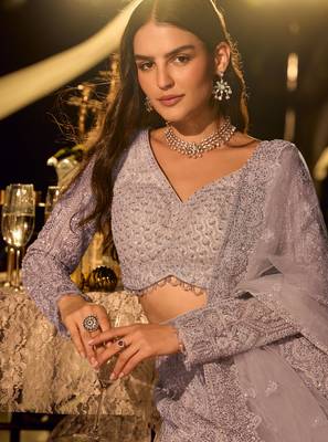 Multicolor Net Embroidered Lehenga Set 2