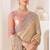 Fawn satin embroidered saree