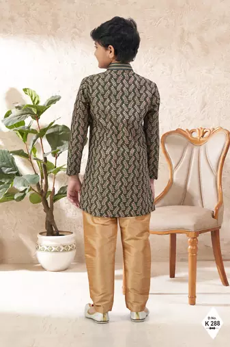 Green dupion silk embroidered indo western set for boys